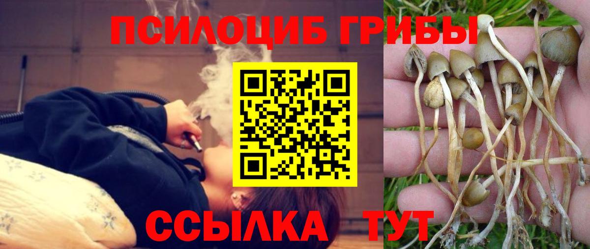 что такое   Галлюциногенные грибы ЛСД  Вход с VPN  Тосно 