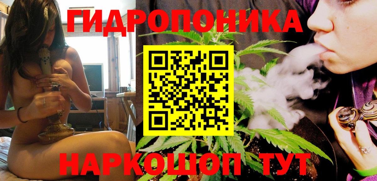 Шишки марихуана гибрид Тосно